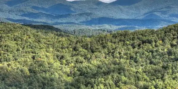 Lot 25 Utana Bluffs Trail, Ellijay GA 30540