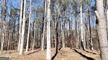 6155 (Lot #1) Little Ridge Road