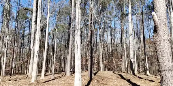 6155 (Lot #1) Little Ridge Road