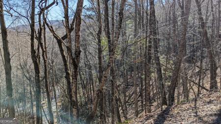 Lot 237 Covered Bridge Lane # 237, Sky Valley GA 30537