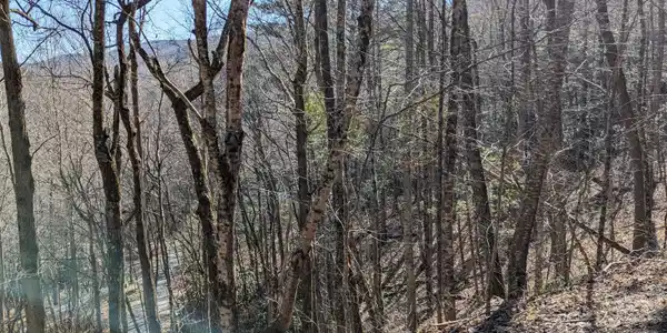 Lot 237 Covered Bridge Lane # 237, Sky Valley GA 30537
