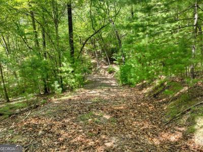 Lot 68 Riverwalk On The Toc # 68, Mineral Bluff GA 30559