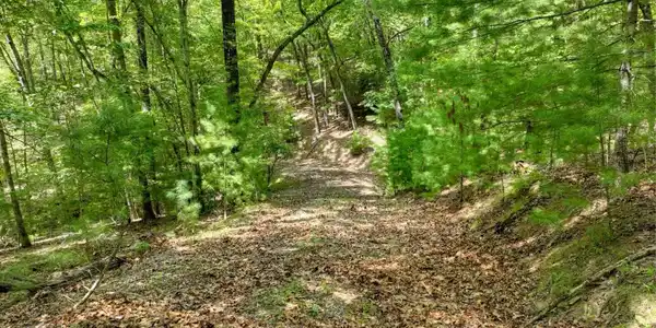 Lot 68 Riverwalk On The Toc # 68, Mineral Bluff GA 30559