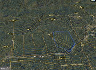 Lot 2, Ranger GA 30734 2 WEST Dry Pond Road