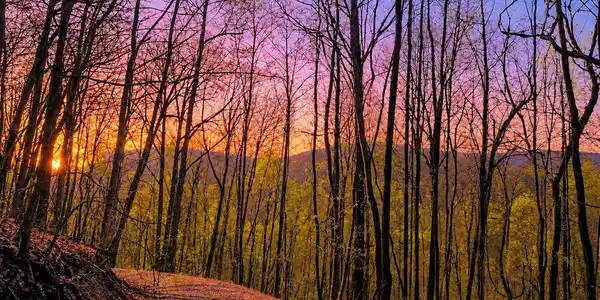 29 AC Hidden Valley Drive # 00, Ellijay GA 30536