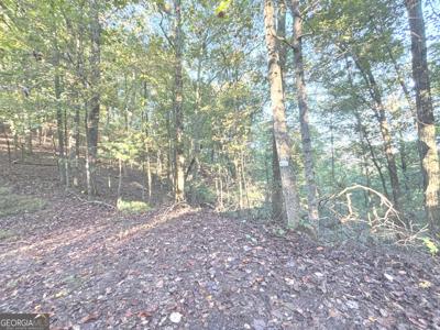 122 Adair Drive, Ranger GA 30734