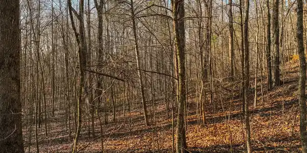 Lot 12 Mount Mincie Road, Murrayville GA 30564