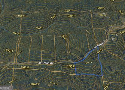 Lot 1, Ranger GA 30734 1 EAST Dry Pond Road