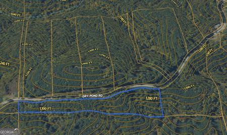 Lot 2, Ranger GA 30734 2 EAST Dry Pond Road