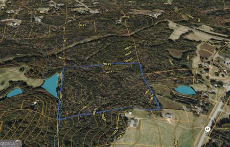 Lot 2, Dallas GA 30132 Narroway Church Circle