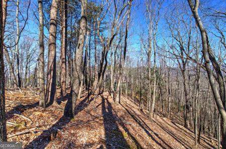 Lot J227 Walnut Mountain Road, Ellijay GA 30536