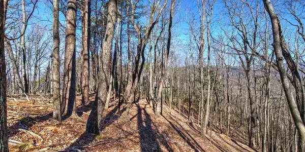 Lot J227 Walnut Mountain Road, Ellijay GA 30536