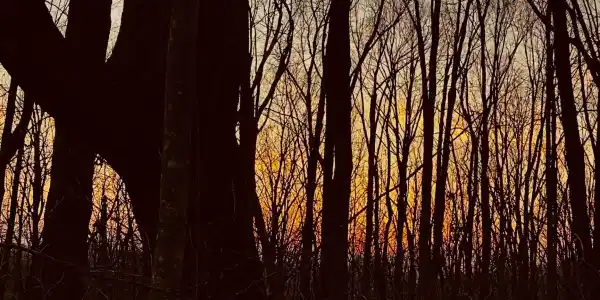 Lot 4 Mount Mincie Road, Murrayville GA 30564