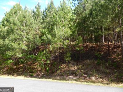 #361 The Cove at Thirteen Hundred, Young Harris GA 30582