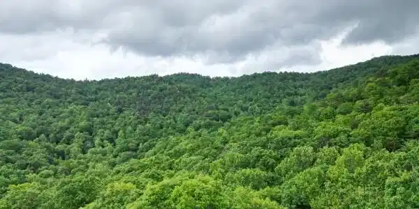 Lot 36 Winding View, Clayton GA 30525