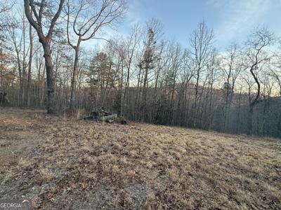 426 Rockhouse Crossing, Demorest GA 30535