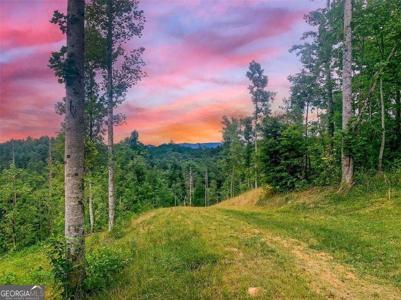 1267 Hicks Ford Road, Ellijay GA 30540
