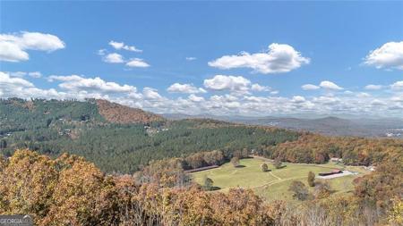 98 Winding Road, Blairsville GA 30512