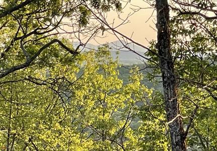Lot 5, Clarkesville GA 30523 Little Eagle Mountain