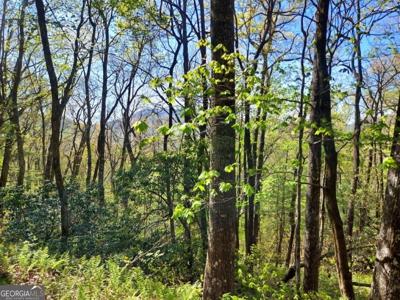 Lot 40 Pipetrack Gap Road, Scaly Mtn NC 28775