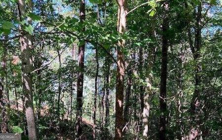 Lot 140 Red Oak Trail # 140, Ellijay GA 30540