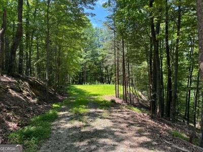 1450 Hanna Drive, Ranger GA 30734