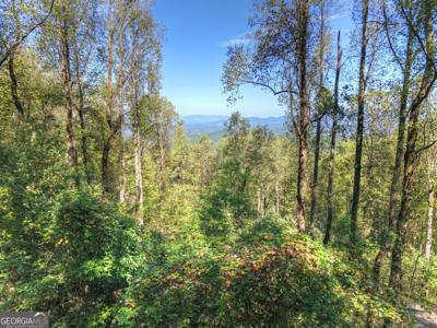 LT 296 Andes Ridge, Ellijay GA 30536