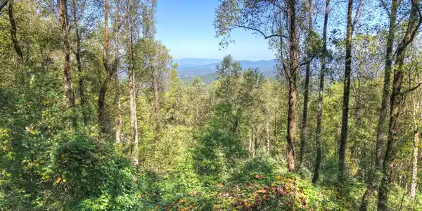 LT 296 Andes Ridge, Ellijay GA 30536