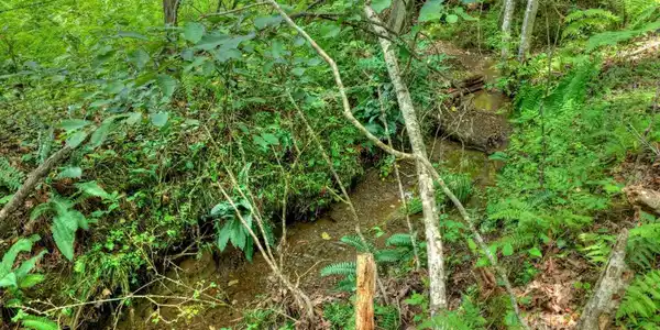 Scots Glen Road, Mineral Bluff GA 30559
