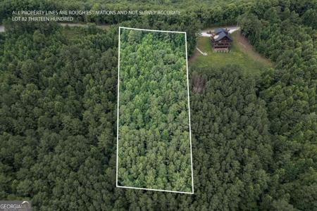Lot 82 Thirteen Hundred, Blairsville GA 30512