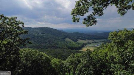 Lot 288, Jasper GA 30143 Andes Ridge Parkway