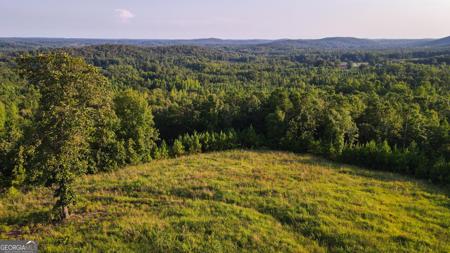 200 Tablee Lane, Ashland AL 36251