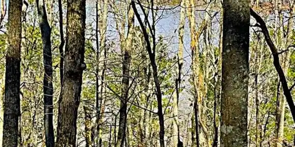 Lot 20 Overlook Drive, Chatsworth GA 30705
