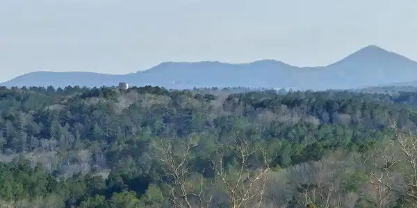 289 Anglers Ridge Road, Talking Rock GA 30175