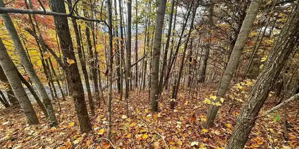 Lot 24B Grandview Drive, Hayesville NC 28904