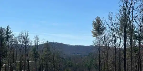 Lot 188 The Ridges, Morganton GA 30560