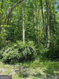Lot 12 Sunrise Valley Road, Blue Ridge GA 30513