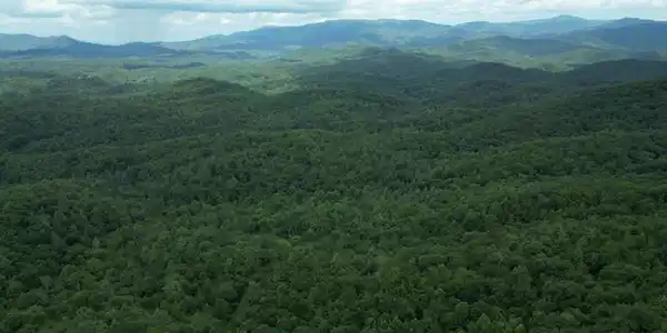 Lot 14 Oceola Drive, Ellijay GA 30540