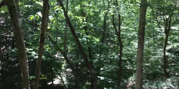 Damascus Road, Ball Ground GA 30107