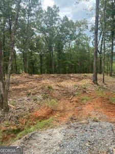 Lot 56 Ridge Line Trail, Ellijay GA 30540