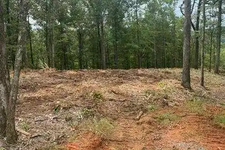 Lot 56 Ridge Line Trail, Ellijay GA 30540