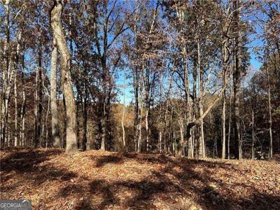 106 Adair Drive NE, Ranger GA 30734