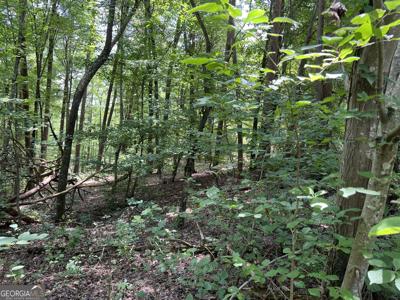 Lot 17 Lavender Trail, Rome GA 30165