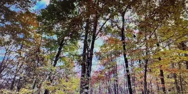 Lot 6, Young Harris GA 30582 6 Morgan Creek