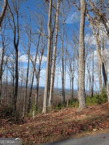 Lot 91 Winding Ridge, Blairsville GA 30512