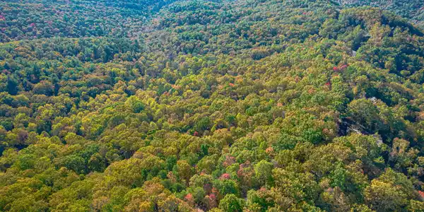Lot 19 Oceola Drive, Ellijay GA 30540