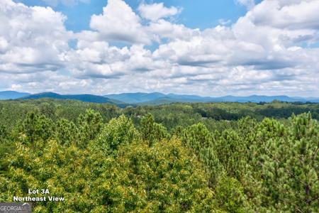 125 Patriot View Drive, Dahlonega GA 30533