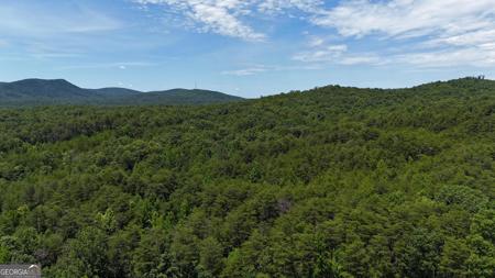 587 E Valley Road NE, Rydal GA 30171