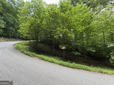 Lot 19 Mill Ridge Road, Hiawassee GA 30546