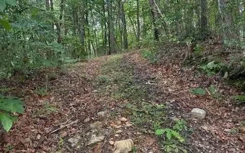 10.96 AC Paramount Trail, Ellijay GA 30536